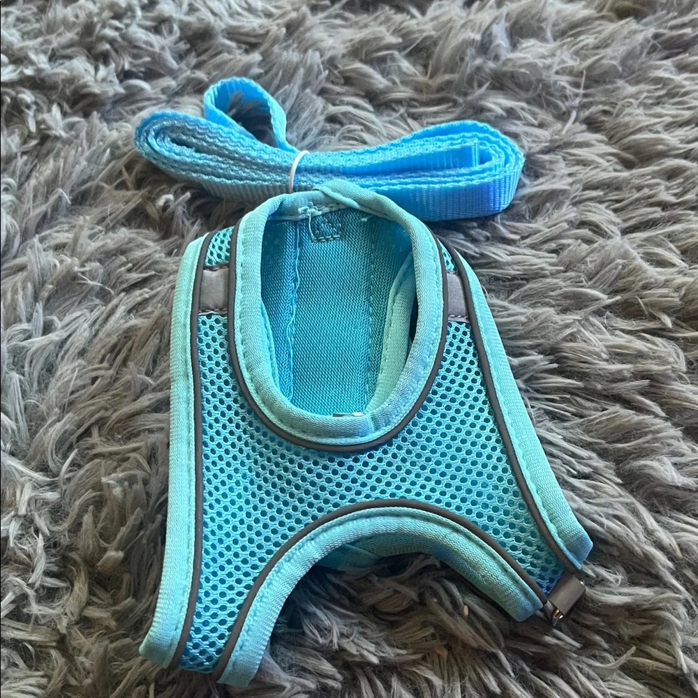 Cat Leash/Harness